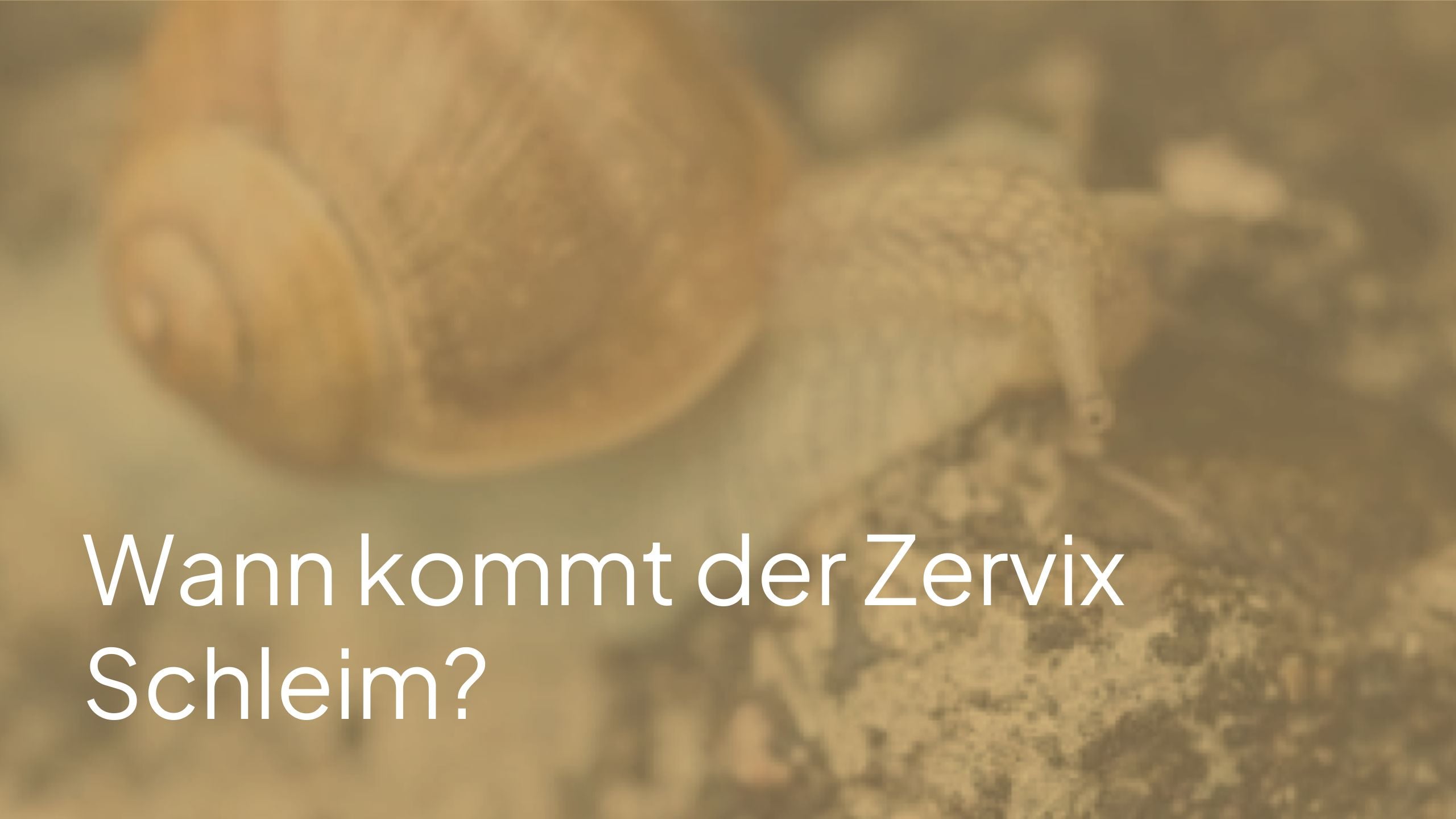 Wann kommt der Zervixschleim?
