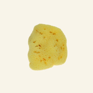 Menstruations Naturschwamm Menstruations Zubehör Ladyplanet CH Small