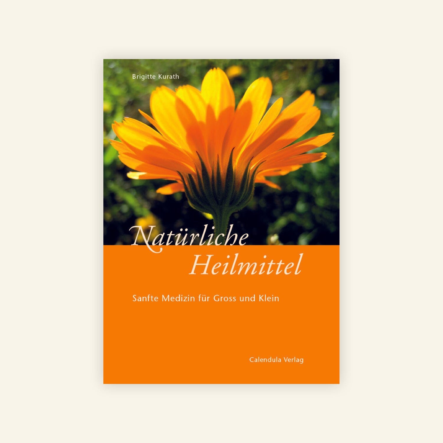 Natürliche Heilmittel Buch - Brigitte Kurath Buch Ladyplanet CH