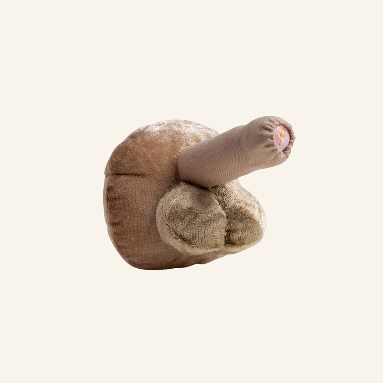Paomi Aufklärungsmodell Penis mittelgross Ladyplanet hell unbeschnitten