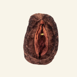 Paomi Aufklärungsmodell Vulva Vagina gross Ladyplanet dunkel mit Corona