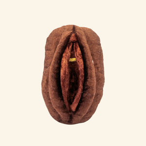 Paomi Aufklärungsmodell Vulva Vagina gross Ladyplanet dunkel ohne Corona