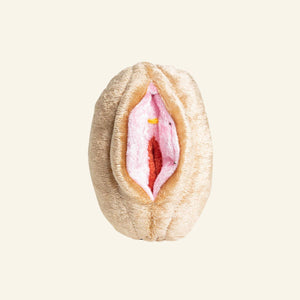 Paomi Aufklärungsmodell Vulva Vagina klein Ladyplanet hell