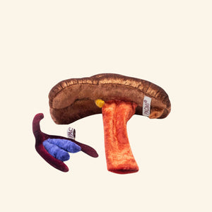 Paomi Aufklärungsmodell Vulva Vagina mit Klitoris und Schwellkörper Ladyplanet