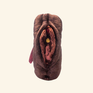 Paomi Aufklärungsmodell Vulva Vagina mit Klitoris und Schwellkörper Ladyplanet dunkel mit Corona