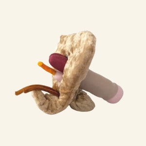 Paomi Plüsch Penis gross flach variabel WERNER Ladyplanet CH