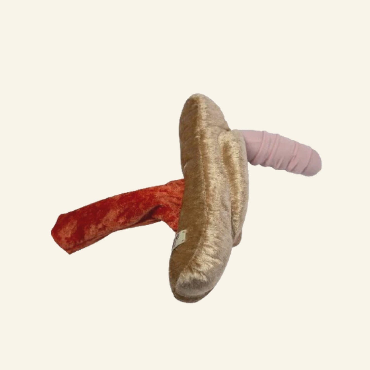 Paomi Plüsch Penis mit Vulva Vagina intersexuell Ladyplanet CH