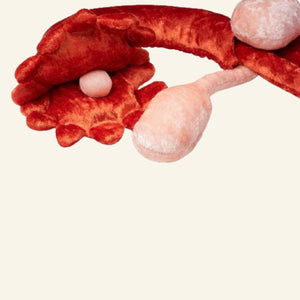 Paomi Plüsch Zyklusmodell Anke Ladyplanet CH