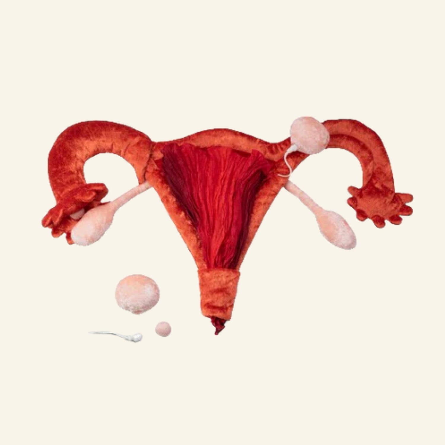 Paomi Plüsch Zyklusmodell Anke Ladyplanet CH