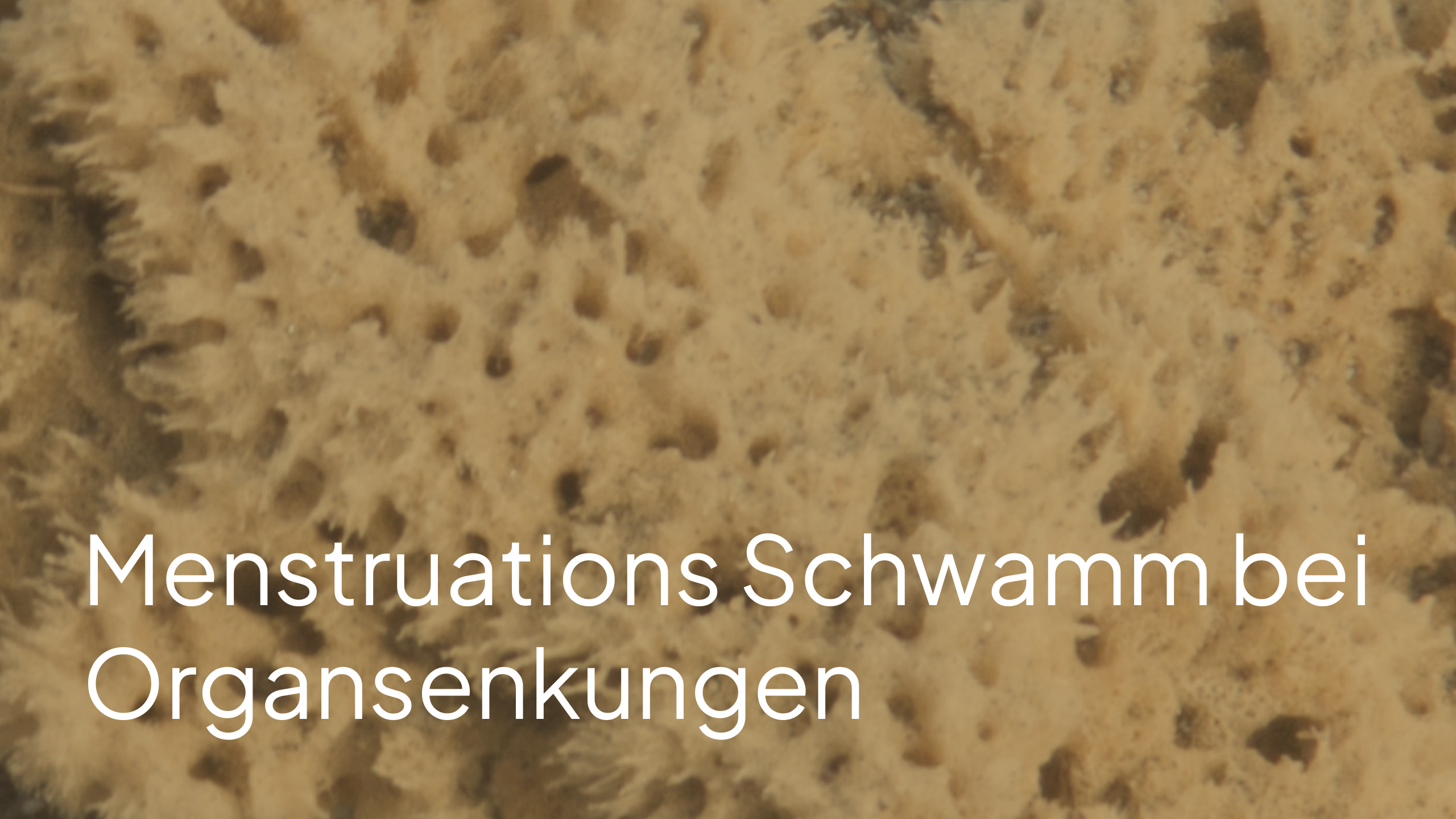 Menstruationsschwamm bei Organsenkung nach Geburt