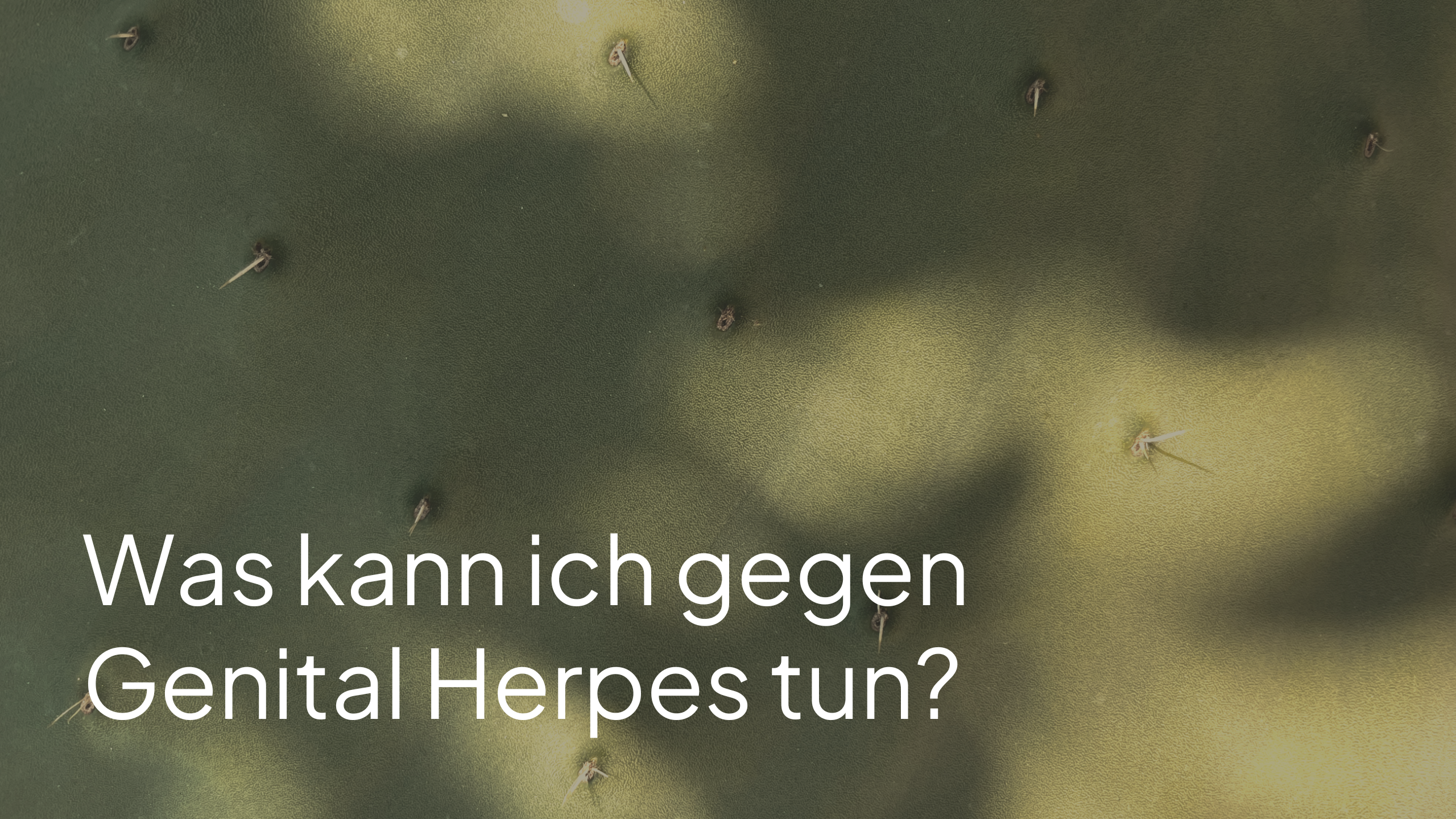 Was kann ich gegen Genitalherpes tun?