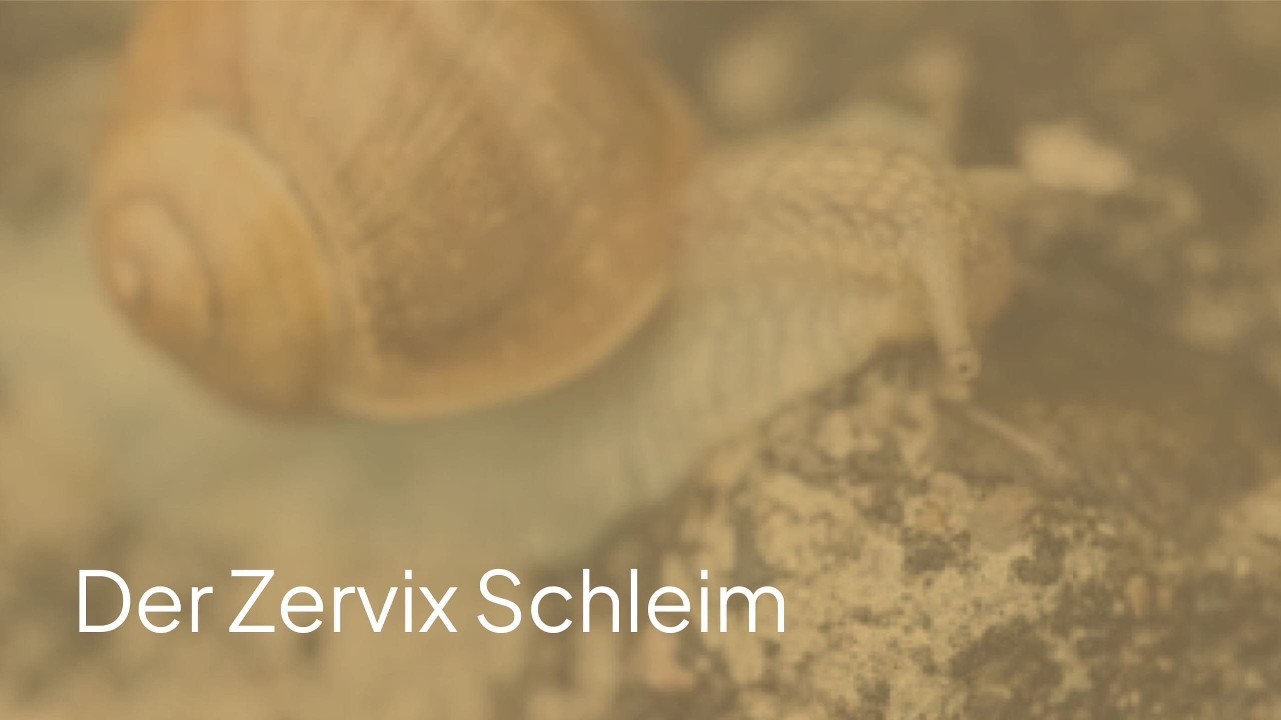 Wie sieht der Zervixschleim aus, wenn man fruchtbar ist?