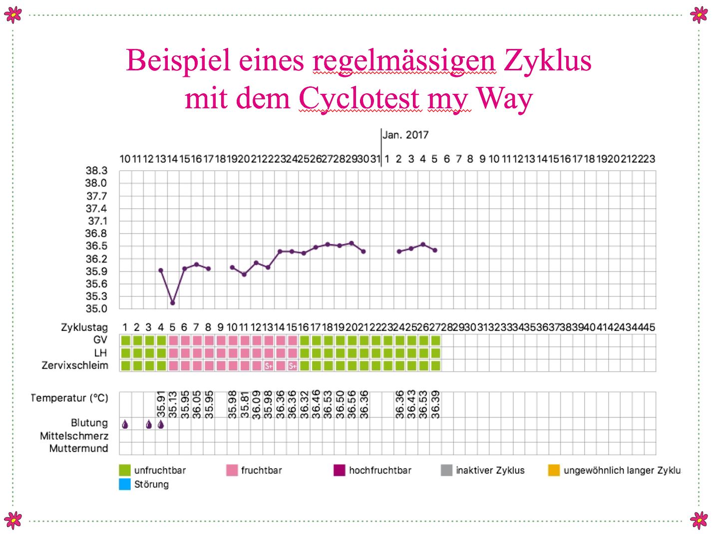 Cyclotest myWay Zykluscomputer Zykluscomputer Ladyplanet CH 