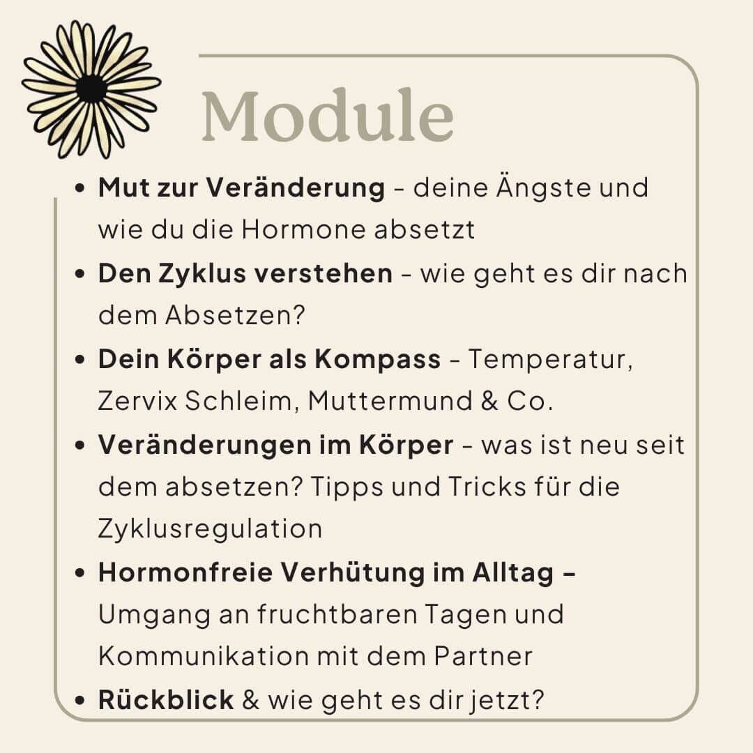 Pille absetzen und hormonfrei verhüten 6-monatige 1:1 Begleitung Zykluscomputer Ladyplanet - natürlich Frau sein 