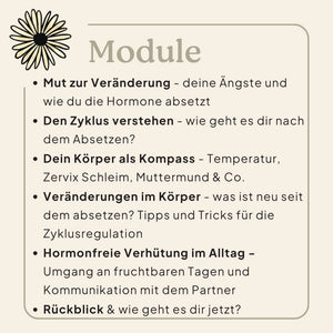 Pille absetzen und hormonfrei verhüten 6-monatige 1:1 Begleitung Zykluscomputer Ladyplanet - natürlich Frau sein 