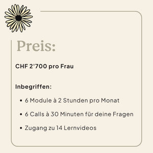 Pille absetzen und hormonfrei verhüten 6-monatige 1:1 Begleitung Zykluscomputer Ladyplanet - natürlich Frau sein 
