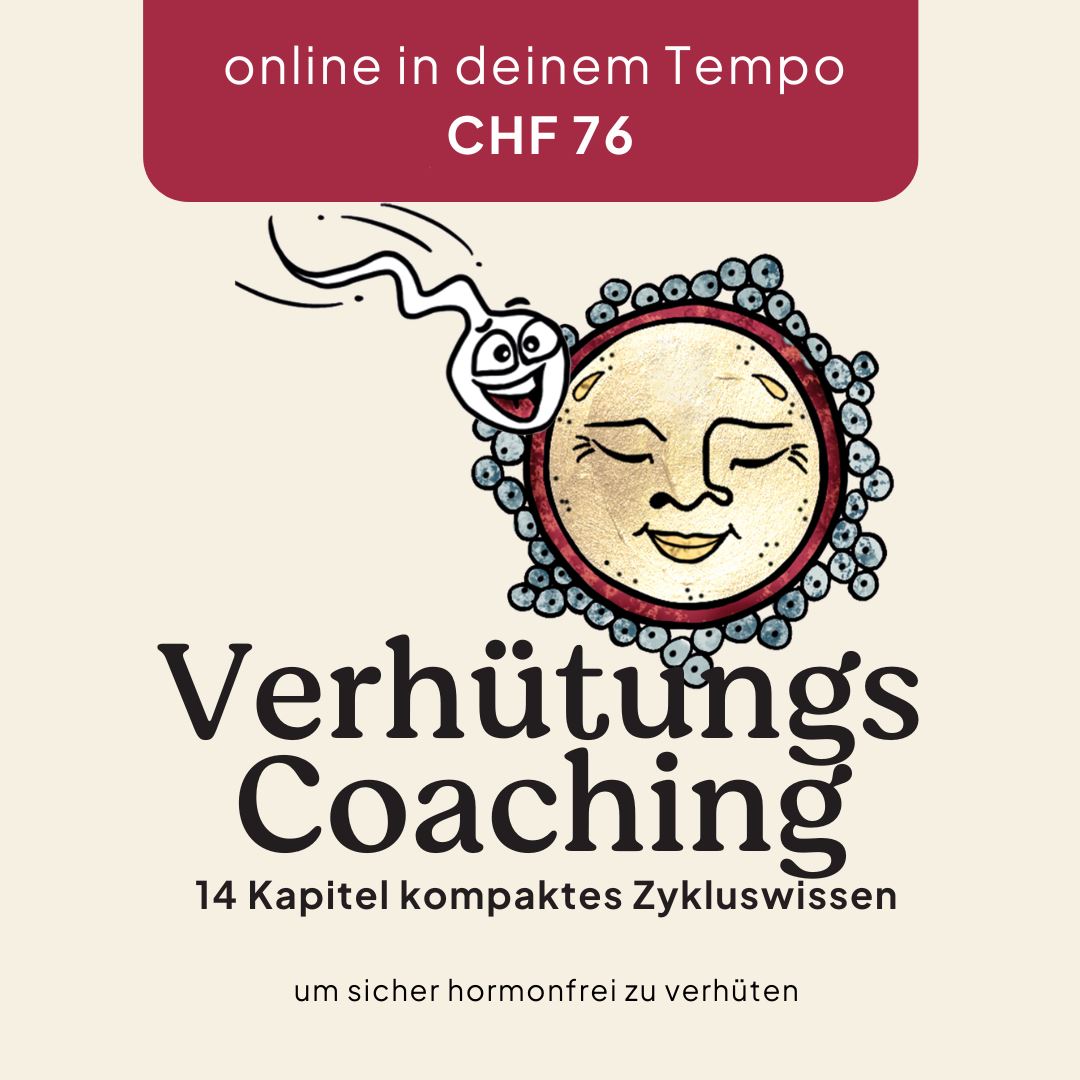 Verhütungscoaching Kurs Ladyplanet 